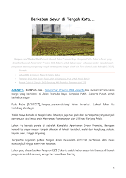 Berkebun Sayur di Tengah Kota