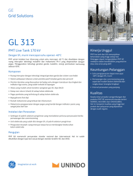 GL 313 - GE Grid Solutions