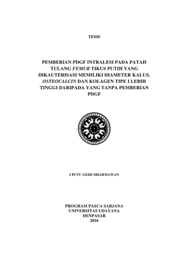 pemberian pdgf intralesi pada patah tulang femur tikus putih yang