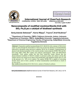 Nanocomposite of modified montmorillonite K10 with SiO2