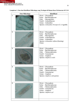 Foto Mikrolaga Klasifikasi 1 Divisi : Chrysophyta - e