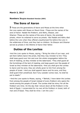 The Sons of Aaron 3