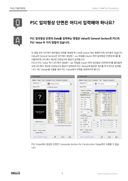 PSC 임의형상 단면은 어디서 입력해야 하나요?