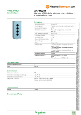 XAPM3204