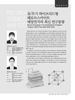 유/무기 하이브리드형 페로브스카이트 태양전지의 최신 연구동향