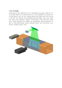 PIV SYSTEM유동입자