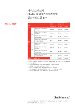 에이스손해보험 Chubb 해외장기체류자여행 실손의료보험 B&trade;