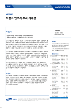 트럼프 인프라 투자 기대감