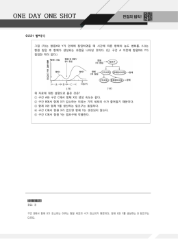 pdf파일