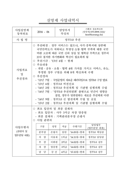 2016-06 정부 3.0 추진