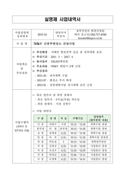 실명제 사업내역서