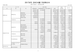 2017년도 교비(서울) 자금예산서