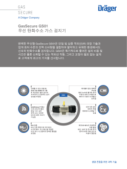 GasSecure GS01 무선 탄화수소 가스 검지기