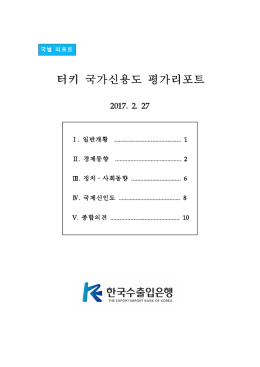터키 국가신용도 평가리포트