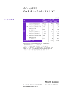 에이스손해보험 Chubb 해외여행실손의료보험 B™