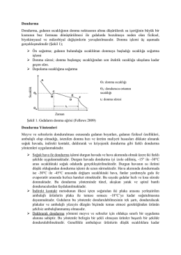 Dondurma Dondurma, gıdanın sıcaklığının donma noktasının altına