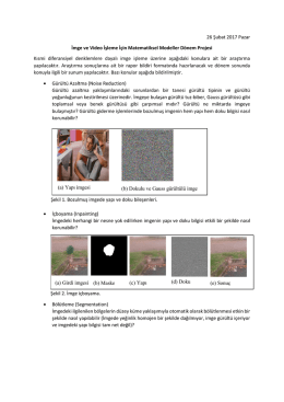 İmge ve Video İşlemede Matematiksel Modeller D&ouml;nem Projesi