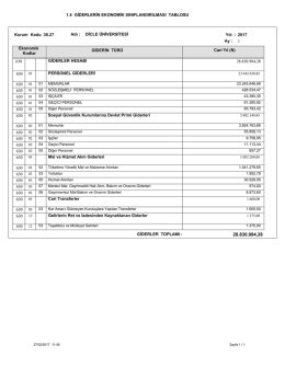 Giderlerin Ekonomik Sınıflandırması Tablosu