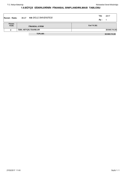 Bütçe Giderlerinin Finansal Sınıflandırması