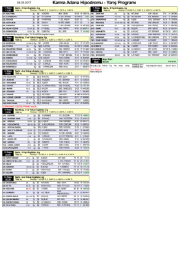 Özet PDF Programı