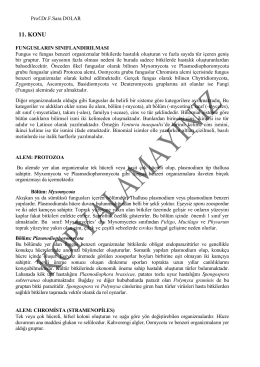 11.Konu File