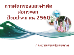 20 นำเสนอกลุ่มงานส่งเสริม.