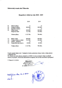 DSO Ti&scaron;novsko - Rozpočtov&yacute; v&yacute;hled