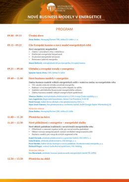 Nov&eacute; busiNess modely v eNergetice