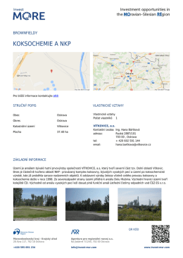 koksochemie a nkp
