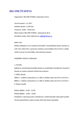 ke stažen&iacute; zde - Big One Fitness