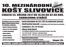 Mezin&aacute;rodn&iacute; ko&scaron;t slivovice