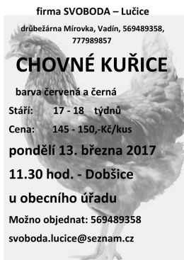 Prodej kuřic - Obec Dobšice