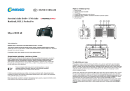 Stavebn&iacute; r&aacute;dio DAB+ / FM r&aacute;dio Rockbull, BULL PerfectPro Obj. č