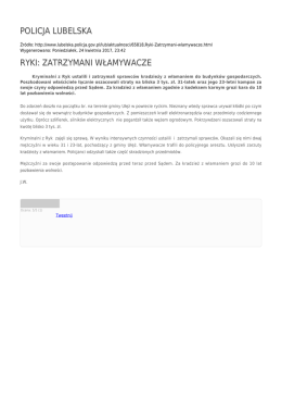 POLICJA LUBELSKA RYKI: ZATRZYMANI WŁAMYWACZE