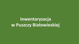 Prezentacja