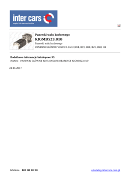 Panewki wału korbowego