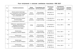 Plany zam&oacute;wień 2017r