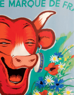 Catalogue PDF