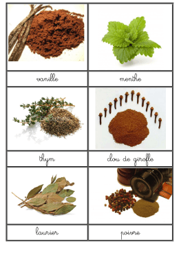 vanille menthe thym clou de girofle laurier poivre - SBSSA