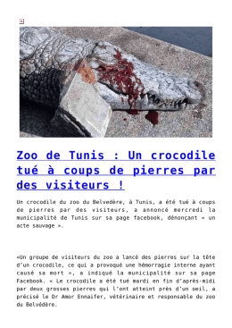 Zoo de Tunis : Un crocodile tué à coups de pierres