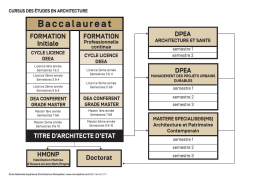 le cursus des &eacute;tudes en architecture