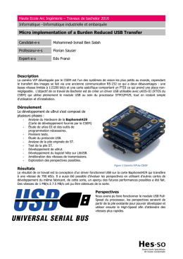 Micro implementation of a Burden Reduced USB Transfer - HE-Arc