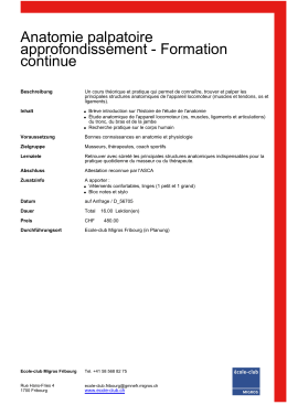 Anatomie palpatoire approfondissement - Formation