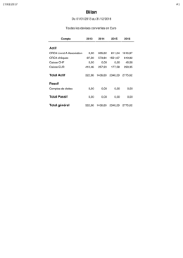 Bilan financier 2016