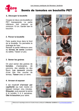 Faire pousser des semis de tomates dans des bouteilles