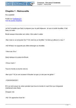 T&eacute;l&eacute;charger en PDF