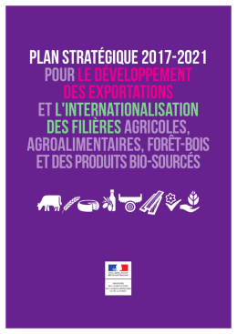 Plan strat&eacute;gique 2017-2021 pour le
