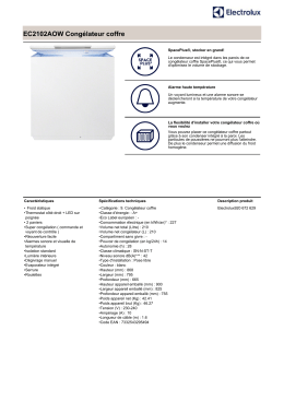 EC2102AOW Cong&eacute;lateur coffre