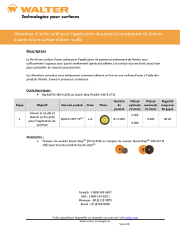 Obtention d`un fini pr&ecirc;t pour l`application de peinture/rev&ecirc;tement de