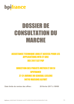 Assistance technique JAVA-ACCESS MTBpdf 110.10 Ko